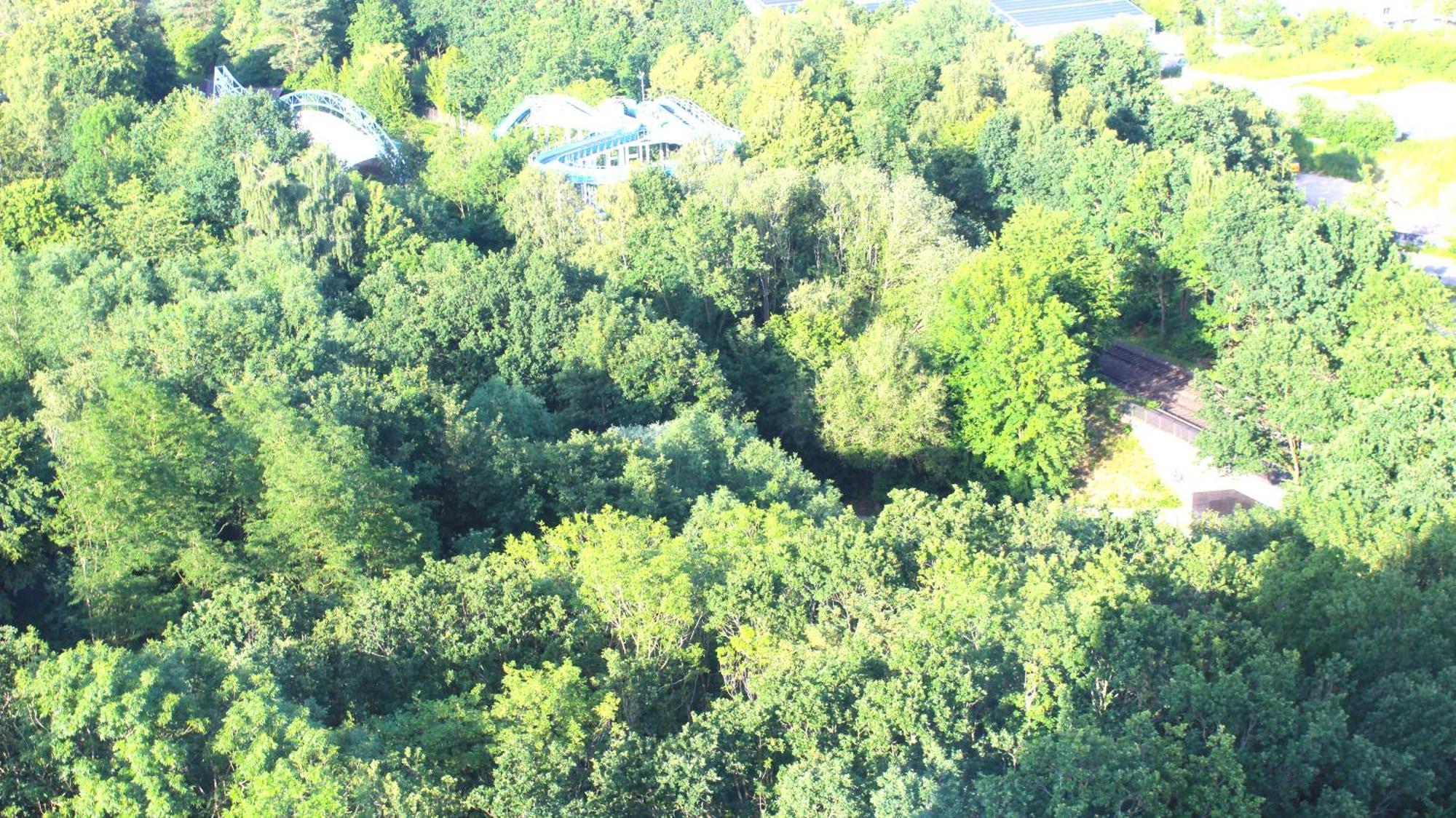 Zum Wohlfuehlen Ferienwohnung Fuer Max 5 Erwachsene Und 1 Kind, Schwimmbad Vor Der Tuer, Tiere Erlaubt Sierksdorf Exterior foto