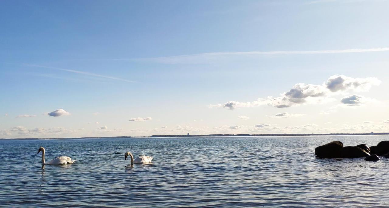 Zum Wohlfuehlen Ferienwohnung Fuer Max 5 Erwachsene Und 1 Kind, Schwimmbad Vor Der Tuer, Tiere Erlaubt Sierksdorf Exterior foto